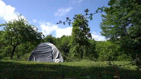 Tent Set Up in the Middle of the Forest Stock Footage 311669681