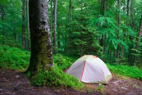 Tent in a spring forest Stock Photos