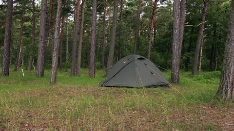 Tent Standing in the Forest at Dawn. 4K Ultra HD Stock Footage 83607171
