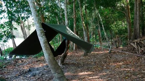 The tent stretched over the trees in the forest. A tarpaulin stretched on the Stock Photos