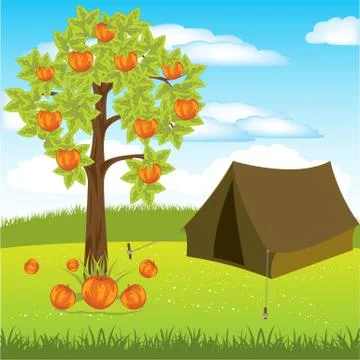 Tent under aple tree Stock Illustration
