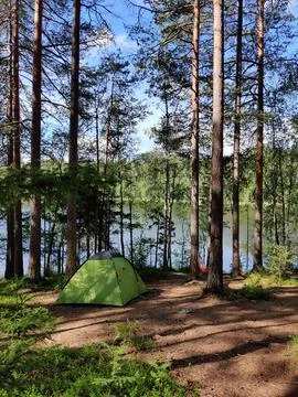 Tent under the pine trees with beautiful summer sunlight. Scene with tourist  Stock Photos