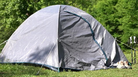 Tent in the Wilderness Stock Footage 311666548