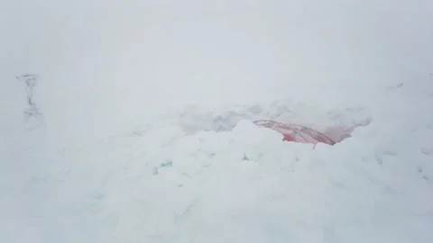 Tent on the winter top Goverla Video stock 170786678
