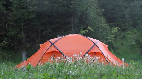 Tent in the woods in the rain Stock Footage 49688331