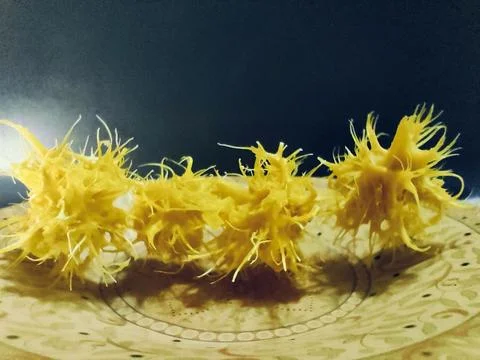 Tentacle-like ambarella seeds Stock Photos