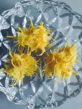 Tentacle-like ambarella seeds Stock Photos