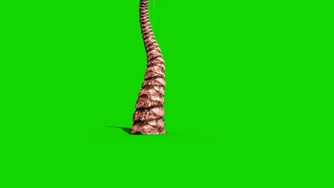 Tentacle Monster Attack Octopus Green Screen 3D Rendering Animation Video stock 87295590