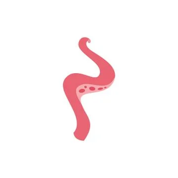 Tentacle of octopus or cuttlefish a vector isolated cartoon flat illustration 스톡 일러스트