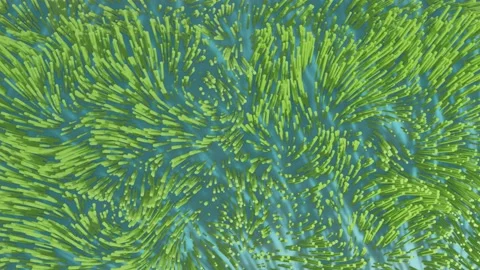 Tentacles 10001-0300 Stock Footage 219360490