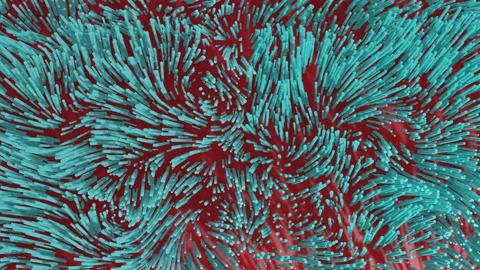 Tentacles 2 Video stock 219360573