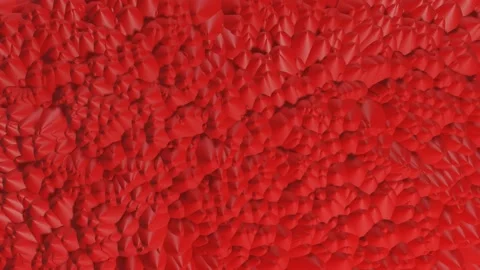 Tentacles 4 Stock Footage 219360399