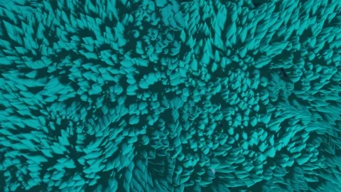 Tentacles 5 Stock Footage 219360446