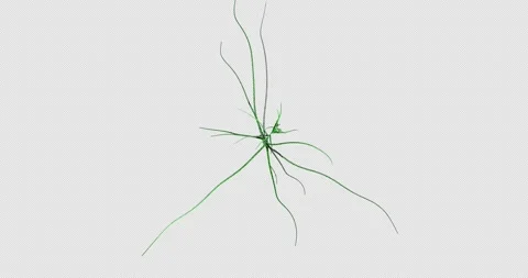 Tentacles made up of spherical cells Stock Footage 271147844