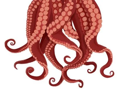 Tentacles octopus and cuttlefish. Purple tentacles kraken red suckers. Stock-Illustration