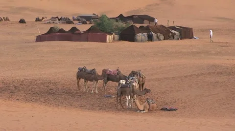 Tented kamps and camels in Sahara, Morocco Stock Footage