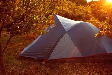 Tents in the garden Stock Photos