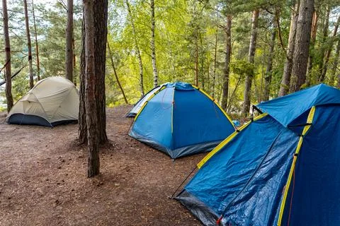 Tents Set Up in Forest Stock Photos