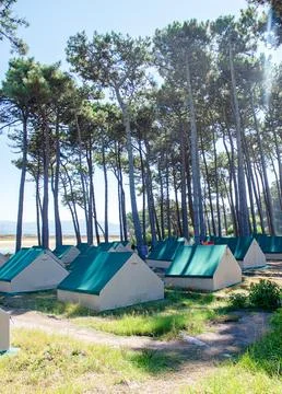 Tents set in a tranquil forest, surrounded by towering trees and vibrant gras Stock Photos