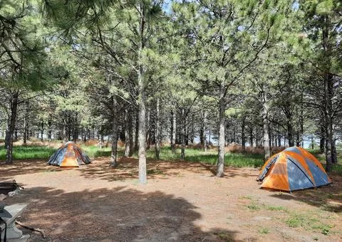 Tents in the Trees while Camping in the Mountains Stock Photos