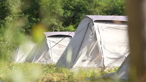 Tents in wilderness campgrounds Stock Footage 233323002
