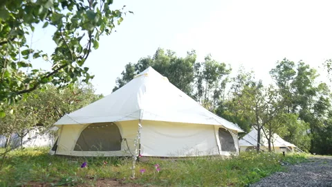Tents in wilderness campgrounds Stock Footage 233323009