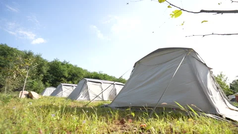 Tents in wilderness campgrounds Stock Footage 233323081