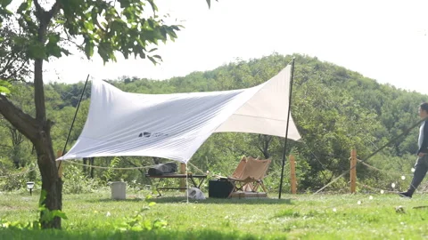 Tents in wilderness campgrounds Stock Footage 233323733