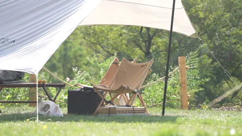 Tents in wilderness campgrounds Stock Footage 233324045