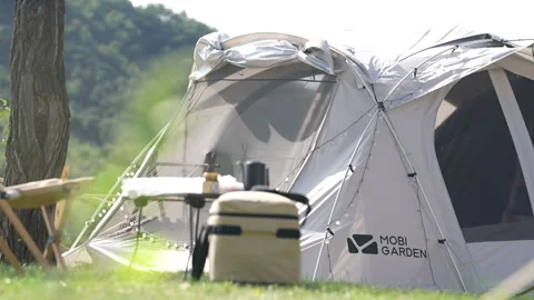 Tents in wilderness campgrounds Stock Footage 233324164