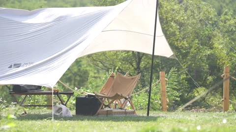 Tents in wilderness campgrounds Stock Footage 233324478