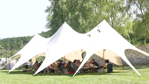Tents in wilderness campgrounds Stock Footage 233325047