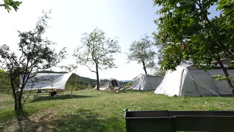 Tents in wilderness campgrounds Stock Footage 233325475