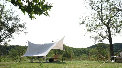 Tents in wilderness campgrounds Stock Footage 233325480