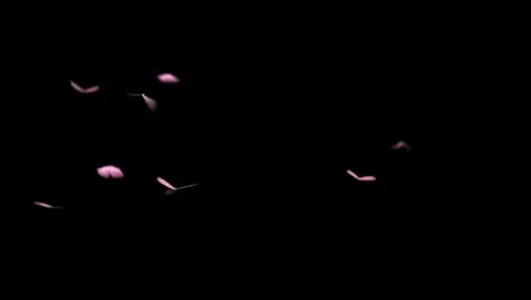 TEOR3272 Stock Footage 127737781