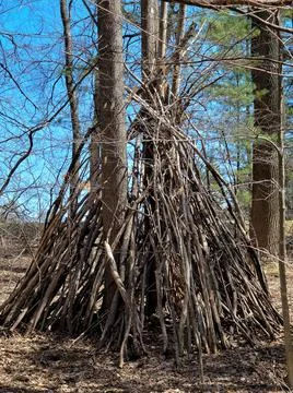 Tepee Tree Fort Stock Photos