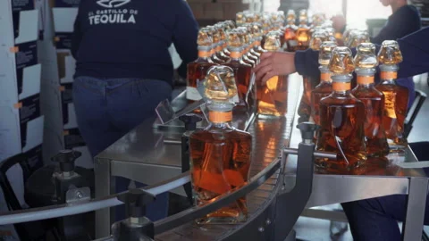 Tequila bottling production line at El Castillo distillery in Jalisco Видео 346658996
