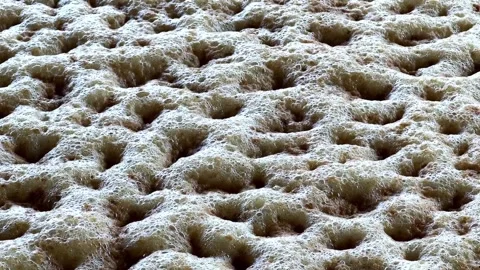 Tequila distillation process inside a factory Stock Footage 336451198