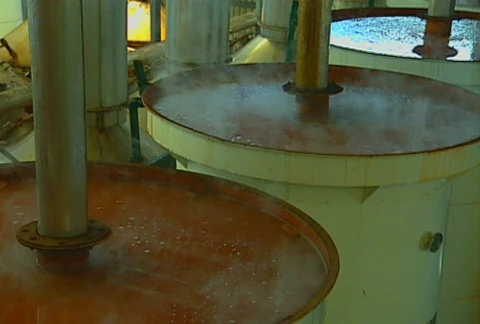 Tequila production 12 Video stock 517070