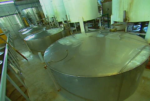 Tequila production 13 Stock Footage 517073