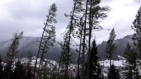 Terchova Stock Footage 82593979