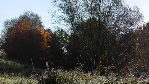 Terchova Stock Footage 82687369