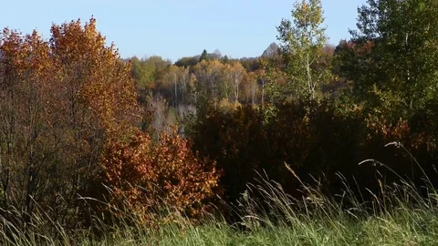 Terchova Stock Footage 82688827