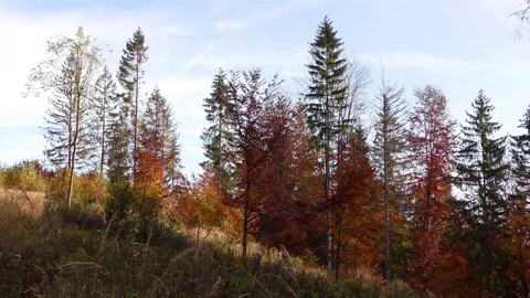 Terchova Stock Footage 82698702