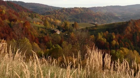 Terchova 스톡 동영상 82698705