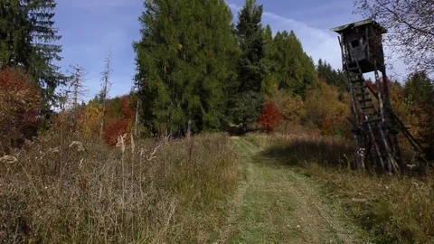 Terchova Video stock 82699489