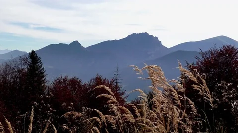 Terchova Video stock 82699553