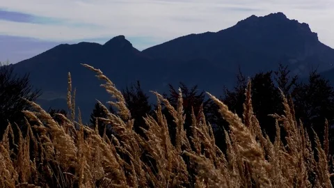 Terchova Stock-Footage 82700486