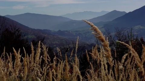 Terchova Video stock 82700499