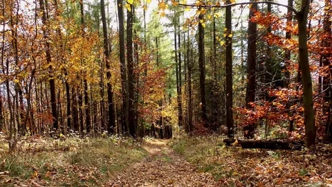 Terchova Stock Footage 82707490